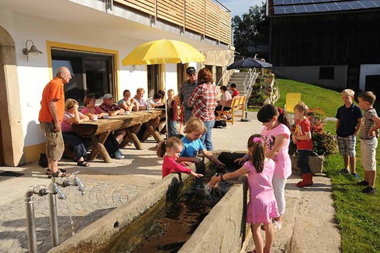Exenbacher Hof Traumbauernhaus S'Haisl 阿尔恩布鲁克 外观 照片